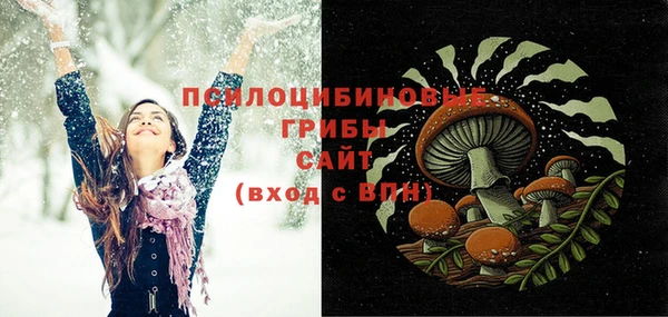 прущие грибы Киренск