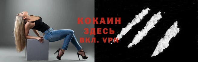 гашик Кодинск
