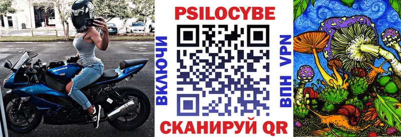 Купить  Лангепас  Галлюциногенные грибы Psilocybe 